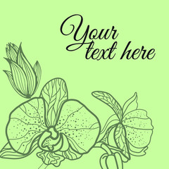 Vector background with floral pattern