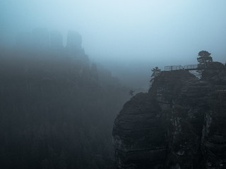 Wanderung zur Bastei im Nebel Sächsische Schweiz 