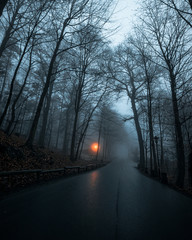 Wanderung zur Bastei im Nebel Sächsische Schweiz 