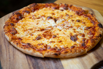pizza with cheese Delicious fresh,Homemead