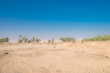 Sahara Desert
Wide plans for a great sunny space full of sand.