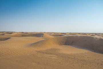 Sahara Desert
Wide plans for a great sunny space full of sand.