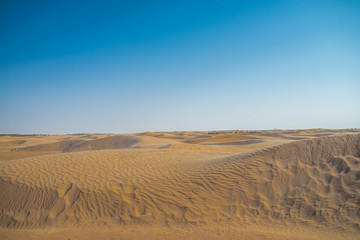 Fototapeta na wymiar Sahara Desert Wide plans for a great sunny space full of sand.