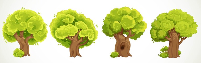 Set of ancient thick trees with summer green lush foliage vector drawing isolated on white background