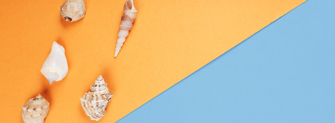 Seashell collection, shells in line on blue and orange background, space for text. banner
