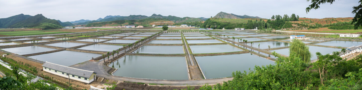 Fish Farm, Kaesong, North Korea	