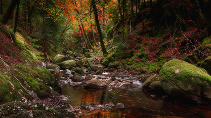 Stream flowing in rocky gorge, in autumn woodland.Fairytale landscape scene.Tranquil...