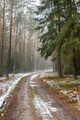  Forest roads covered with snow