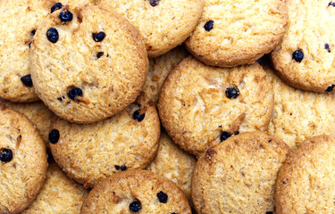 Closeup a group of Chocolate chip cookies fill the frame. Sweet biscuits delicious and crunchy homemade pastry.