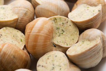 still life of stuffed snail sauce, on a white background