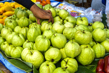 Guava sweet and delicious is beneficial for the body, sold in the market