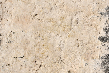 Rock texture and background at the beach