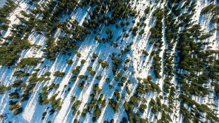 Aerial view on forest in winter, trees cover with snow, Hallstatt austria winter time 