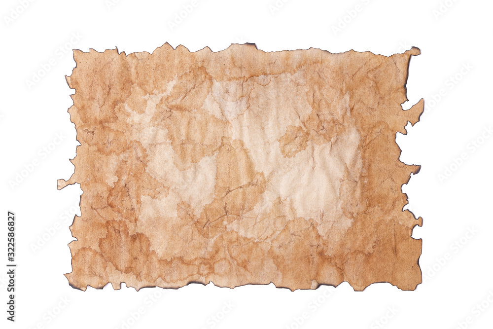 Canvas Prints top view on a sheet of blank ancient shabby torn paper, scroll or parchment with burned edges, isola