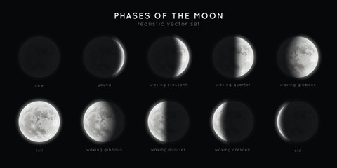 Realistic phases of the moon. Vector elements lunar collection. Moonlight