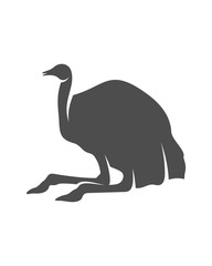 Ostrich logo vector, Animal graphic, Ostrich design Template illustration