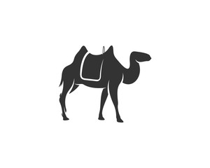 Camel logo vector, Animal graphic, Camel design Template illustration