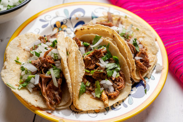 Mexican slow cooked lamb tacos also called barbacoa on white background