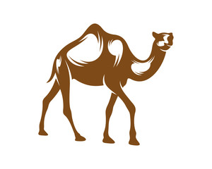 Camel logo vector, Animal graphic, Camel design Template illustration