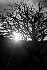 Obraz premium Iglesia