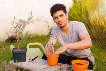 Hispanic man planting potted basil plant at home - young man caring for the plant - Plant care - Young man working in a garden of aromatic herbs of his own