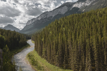 Fototapeta na wymiar The Spray River flowing through the mountain forest in Banff National Park, Alberta, Canada