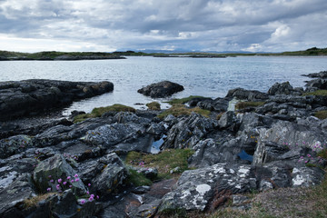 Coastline at Arisaig Lochaber Inverness-shire Highland Scotland in evening light