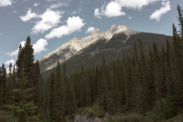 Landscape in the canadian Rockies