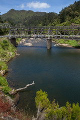Ohinemuri River Karangahake gorge. Bridge