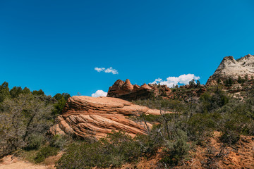 Nature landscape of Zion National Park, USA. This nature landscape is taken at Observation Point in Zion National Park. This nature landscape is also taken during the day. - Image