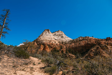 Fototapeta premium Nature landscape of Zion National Park, USA. This nature landscape is taken at Observation Point in Zion National Park. This nature landscape is also taken during the day. - Image