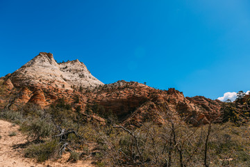 Nature landscape of Zion National Park, USA. This nature landscape is taken at Observation Point in Zion National Park. This nature landscape is also taken during the day. - Image