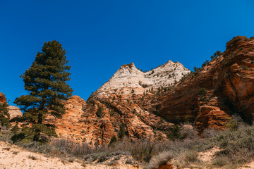 Nature landscape of Zion National Park, USA. This nature landscape is taken at Observation Point in Zion National Park. This nature landscape is also taken during the day. - Image