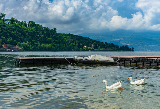 pontile a Laveno sul Lago Maggiore - oche e gommone