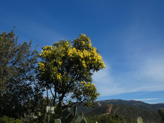 Paesaggio