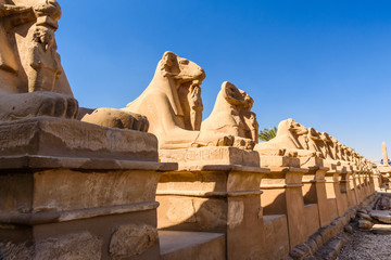 Avenue of the ram-headed Sphinxes in a Karnak Temple. Luxor, Egypt