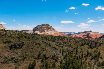 Rare landscape of South Guardian Angel from the top. Hoodoo and trees, Zion National Park - Image. Blue sky, bright colors.