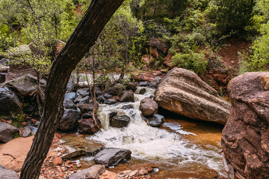 RIver at the bottom of the gorge of a red slot canyon background Zion National Park, Utah - Image
