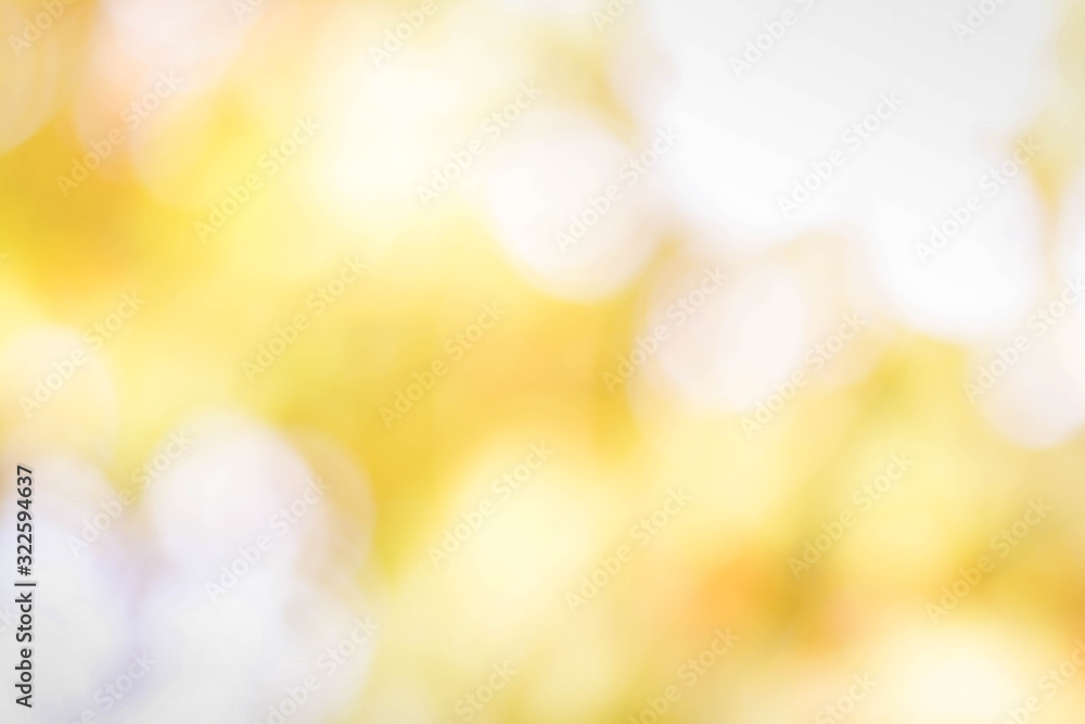 Poster bokeh background from nature under tree shade