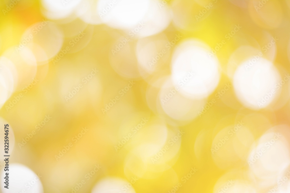 Poster bokeh background from nature under tree shade