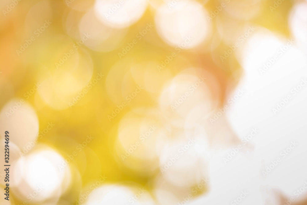 Poster bokeh background from nature under tree shade