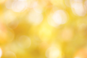 Fototapeta premium bokeh background from nature under tree shade