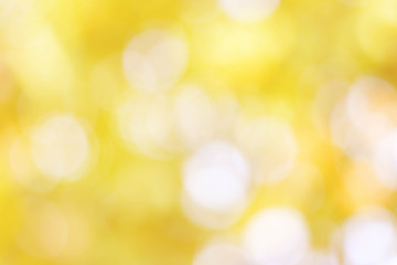 bokeh background from nature under tree shade