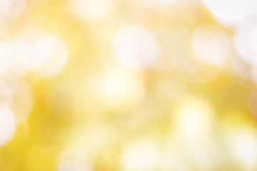 bokeh background from nature under tree shade