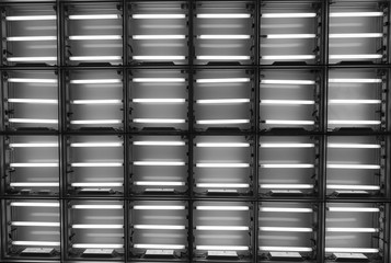 Neon light pattern, abstract structure