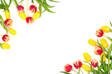 Spring mockup. Beautiful red and yellow tulips on white background. Space for your text. Top view. Flat lay.