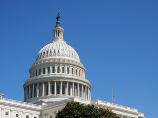 Obraz premium Dome Capitol building.