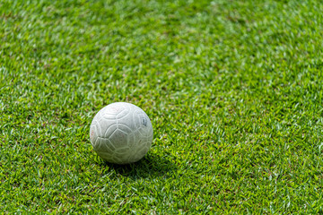 Plastic ball on the green grass