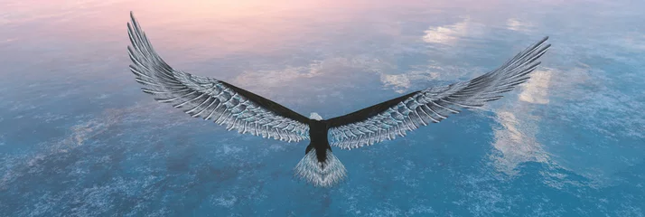 Fototapeten Adler fliegt bündig mit Wasser © juanjo