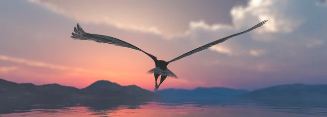 Fototapeten Adler fliegt bündig mit Wasser © juanjo